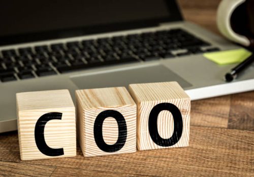 COO - Chief Operating Officer toy block